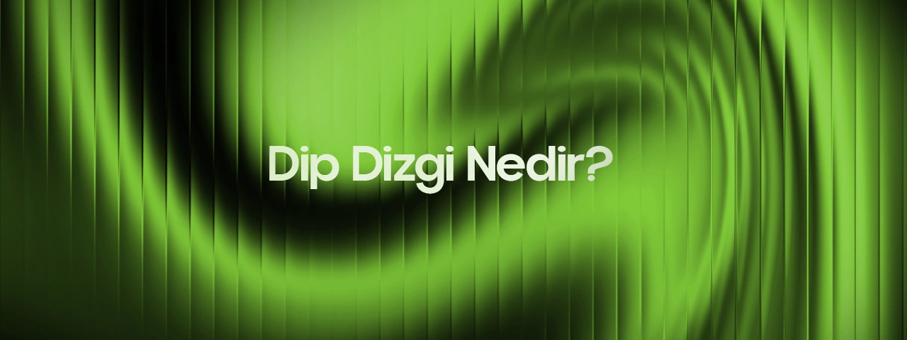Dip Dizgi Nedir